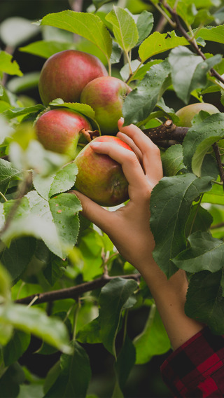 Homepage Creating Sustainable Value