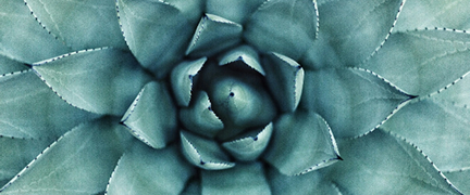 Highlight Image 1