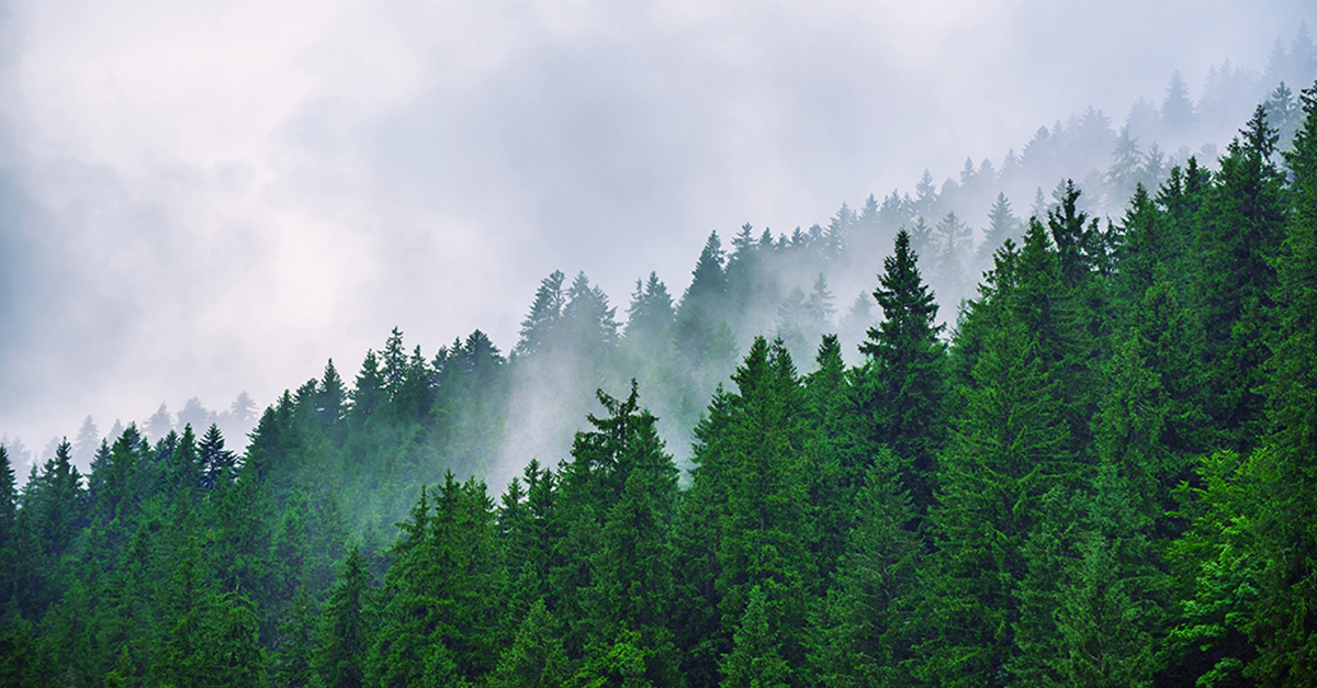 How Private Equity Secondaries Can Improve Portfolio Outcomes 1200X627px