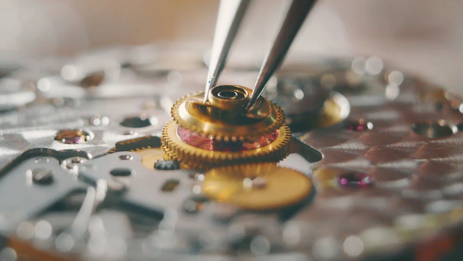 Cogs 2